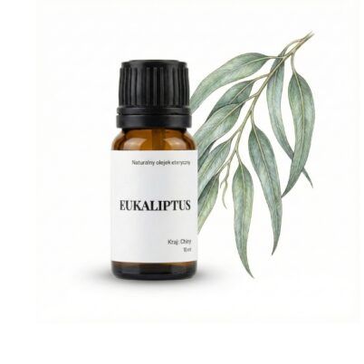 Eukaliptus - olejek eteryczny